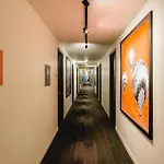 Coyote South 3*
